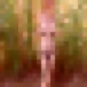 plan cul à Wervicq-Sud : photo de Monique, 22 ans - inscription gratuite