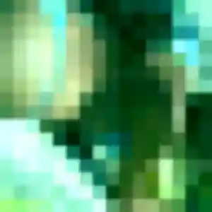 Contacte Laure, 24 ans à Wintzenheim gratuitement