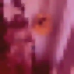 Brune, femme de 41 ans cherche plan cul à Yerres