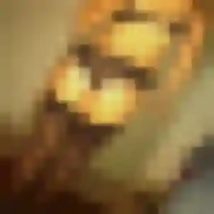 Photo de Ketty à Yssingeaux (31 ans) - plan cul discret