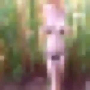 Photo de Sara à Yzeure (43 ans) - plan cul sans inscription